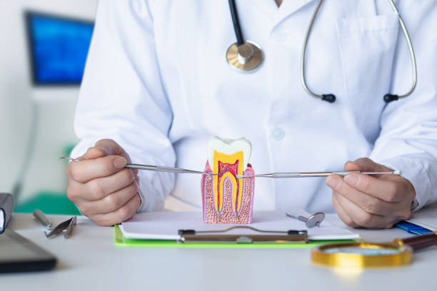 Best Dentist for Tooth Abscess  in Huxley, IA